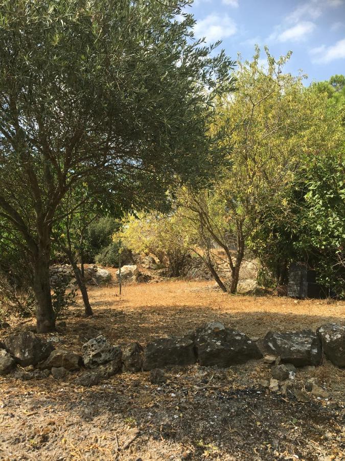 مبيت وإفطار Fraissé-des-Corbières Chez Tatie Menie المظهر الخارجي الصورة